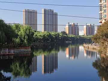 学习国际贸易实务的总结-国际贸易实务体会